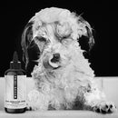 THE SENSITIVE ONE Hypoallergenic Dog & Puppy Shampoo — With Hemp Oil, Aloe & Oatmeal for Sensitive Skin Artisan Pet Products PRIDE+GROOM 