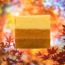 Cider Season All-Natural Tallow Soap Bath Soap Bumble Holler Farm Soap 