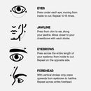 The Endswell Face Tool Face Care TOOLETRIES 