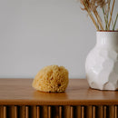 All Natural Bath Sponge - by Napa Soap Company