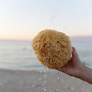 All Natural Bath Sponge - by Napa Soap Company