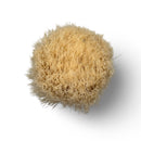 Cream Boar Shaving Brush (26mm) - by Zenith (Pre-Owned) (Copy) Shaving Brush Murphy & McNeil Pre-Owned Shaving 