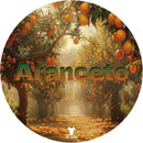 Aranceto Shaving Soap Shaving Soap WhollyKaw Tallow - Siero 