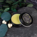 Lip Balm: Avocado Cream Lavender Lip Balm Chagrin Valley Soap & Salve 