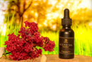Beard Growth Set Beard Butter & Oil Bundle Oyu Cosmetics 