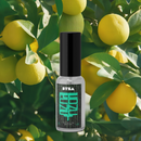 Reconnect Extrait de Parfum - by BYZA