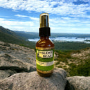 Fresh Clean Aloe-Natural Hand Sanitizer Hand Sanitizer SUDSY BEAR SOAP COMPANY 