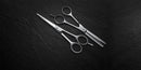 Expert Collection Man Box - Barber Shears Barber Scissors Tondeo North America 