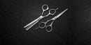 Expert Collection Left Box - Barber Shears Barber Scissors Tondeo North America 
