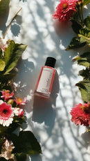 BLUSHWOOD | Limited Release - by UniScents Colognes and Perfume UniScents 
