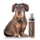 THE MANE TAME Waterless Dog & Cat Shampoo — No-Rinse Pet Grooming and Quick Cleaning Artisan Pet Products PRIDE+GROOM 