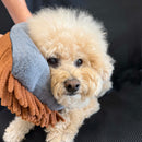 THE MAGIC MITT Dual-Sided Microfiber Grooming Mitt for Dogs & Cats — Use with Waterless Shampoo Artisan Pet Products PRIDE+GROOM 