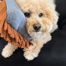 THE MITT KIT | Dog grooming set with waterless shampoo & dual-sided grooming mitt for dogs & cats. Artisan Pet Products PRIDE+GROOM 
