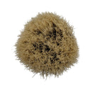 Light Wood Boar Shaving Brush (1800) - by Semogue (Used) Shaving Brush MM Consigns (SW) 
