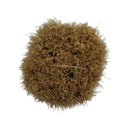 Black Boar Shaving Brush (10098) - by Omega (Used) Shaving Brush MM Consigns (SW) 