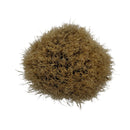 White Boar Shaving Brush (10066) - by Omega (Used) Shaving Brush MM Consigns (SW) 