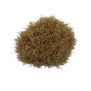 Black Boar Shaving Brush (20106) - by Omega (Used) Shaving Brush MM Consigns (SW) 
