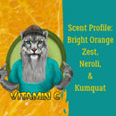 Vitamin C-A Zesty Citrus Beard Wash PHYSICAL Ruddy Man Grooming Co. 