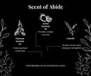 Abide Grass Fed Tallow and Shea Balm Lotion The Sudsy Soapery Natural Products, LLC 