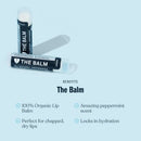 Grooming Lounge The Balm 3 Pack (Save $4) Lip Balm Grooming Lounge 