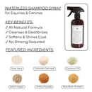 Waterless Shampoo Spray for Dogs & Horses