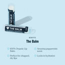 Grooming Lounge The Balm Lip Balm Grooming Lounge 