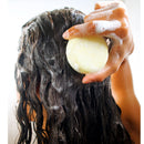 Shampoo Bar Love of Earth Co. 