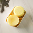 Conditioner Bar Love of Earth Co. 