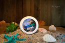 Bay Rum Beard Balm Beard Balm Mr. Hygiene 