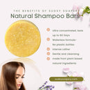 Calendula Hair Shampoo Bar with Rosemary Extract, Kokum and Mango Butters and Rosemary Antioxident Shampoo & Conditioner The Sudsy Soapery Natural Products, LLC 
