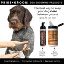 THE MANE TAME Waterless Dog & Cat Shampoo — No-Rinse Pet Grooming and Quick Cleaning Artisan Pet Products PRIDE+GROOM 