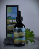 Nature's Breeze Organic Beard Oil Beard Oil Mr. Hygiene 