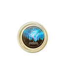 The Stargazer Shave Soap Shaving Soap Zingari Man 1/3 oz Sample 