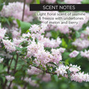 A+B+C Magic Serum Skin Care whish beauty 