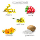 Aluminum Free Deodorant Stick - Helps Moderate Hair Regrowth Deodorant whish beauty 