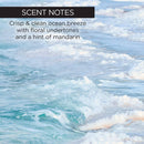 Kabosu Sea Salt Bath and Body Gel Body Wash whish beauty 