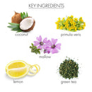 Coconut Milk + Verbena Hand Remedy Lotion whish beauty 