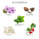 Coconut Milk+Verbena CC Body Cream Lotion whish beauty 