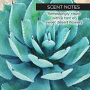 Sun Kissed Agave Self Tanner Lotion - LIMITED EDITION! Lotion whish beauty 