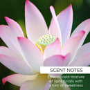 Rose Hip + Lotus Mineral Milk Bath Skin Care whish beauty 